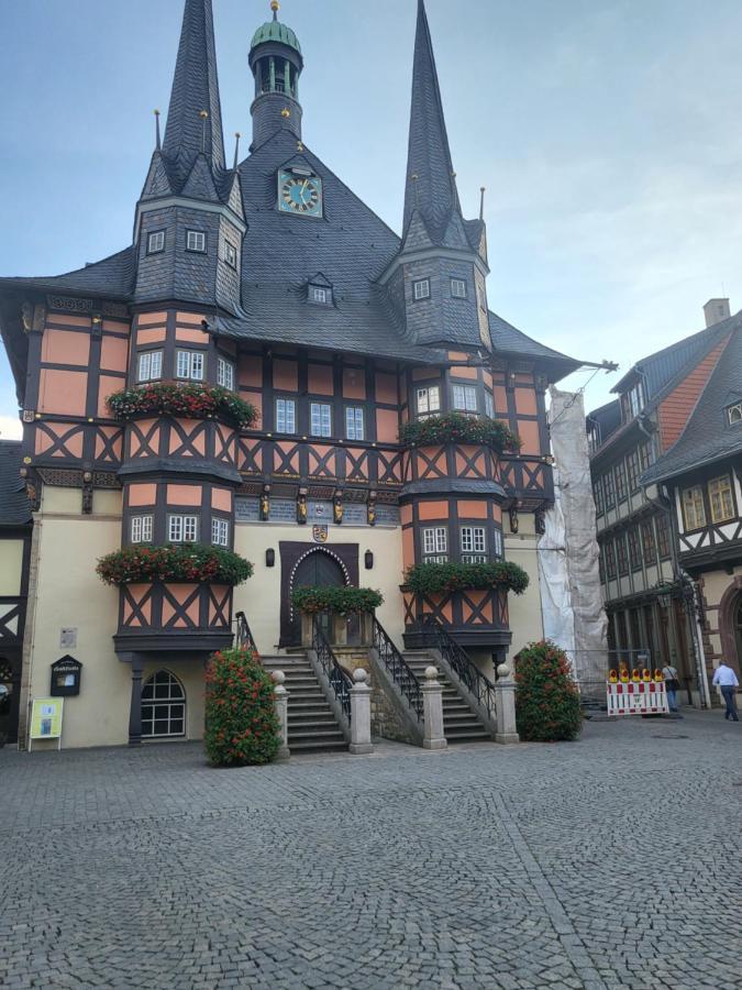 Appartement Zur Bergoase Mi Schwimmbad Hohegeiß 외부 사진